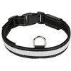 Image de Collier pour chien lumineux Eyenimal RGB Noir S NGCOLLUM025