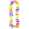 Image de Collier Hawaïen multicouleur pastel
