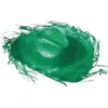 Image de Chapeau Cowboy Caraïbe Vert