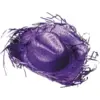 Image de Chapeau Cowboy Caraïbe Violet