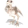 Image de SQUELETTE DE CORBEAU - 18.5CM