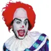 Image de PERRUQUE HALLOWEEN - CLOWN ROUGE