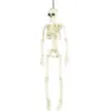 Image de SUSPENSION SQUELETTE 40CM