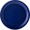 Image de Assiettes Carton Rondes 22 cm Bleu Marine (Lot de 10)   Vaisselle de Fête