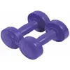 Image de Paire d'haltères ciment Sporti 1.5 Kg Violet 1,5 kg 044013