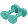 Image de Paire d'haltère ciment Sporti 1 Kg Vert 1 Kg 044012