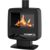 Image de Poêle à bois PAUL SUR PIED 10KW en fonte - étanche - eco design