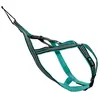 Image de Harnais pour chien Cani Gear Olympia Vert M CY6041
