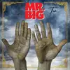 Image de LP de Mr. Big - Ten - pour Indifférent - Standard Standard