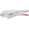 Image de Pince-étau KNIPEX 41 04 250
