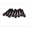 Image de Visserie, volant moteur LUK 411 0155 10