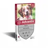 Image de Antiparasite pour chien Elanco Advantix 2,5 ml Blanc 2,5 ml 6782564