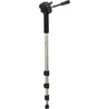 Image de Hama Star 78 Mono Champagne