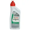 Image de Huile moteur CASTROL 15F1BE Outboard 2T 1L