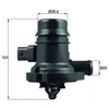 Image de Thermostat d'eau MAHLE TM 36 103