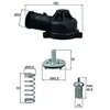 Image de Thermostat d'eau MAHLE TI 244 83D