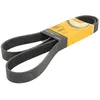 Image de Courroie trapézoïdale à nervures CONTINENTAL 8PK1500