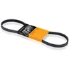Image de Courroie de distribution CONTINENTAL CT833
