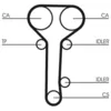 Image de Kit distribution avec pompe à eau CONTINENTAL CT978WP2