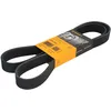 Image de Courroie trapézoïdale à nervures CONTINENTAL 8PK1515