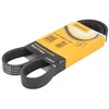 Image de Courroie trapézoïdale à nervures CONTINENTAL 6PK1039 ELAST