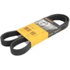 Image de Courroie trapézoïdale à nervures CONTINENTAL 6PK1200