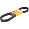 Image de Courroie trapézoïdale à nervures CONTINENTAL 8PK880