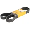 Image de Courroie trapézoïdale à nervures CONTINENTAL 8PK1371