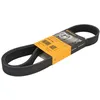 Image de Courroie trapézoïdale à nervures CONTINENTAL 8PK1183