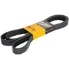 Image de Courroie trapézoïdale à nervures CONTINENTAL 8PK2546