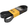 Image de Courroie trapézoïdale à nervures CONTINENTAL 10PK1300