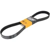 Image de Courroie trapézoïdale à nervures CONTINENTAL 8PK1165
