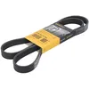 Image de Courroie trapézoïdale à nervures CONTINENTAL 6PK1441 EXTRA