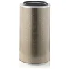 Image de Filtre à air MANN-FILTER C 33 920/3