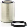 Image de Filtre à air MANN-FILTER C 45 3265 X