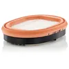Image de Filtre à air secondaire MANN-FILTER CF 2550/1