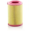 Image de Filtre à air MANN-FILTER C 29 046