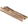 Image de Sticks à mâcher pour chat en matatabi Trixie Marron TU 42427