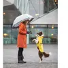 Image de Imperméable pour chien Trixie Vimy Jaune XL 67978