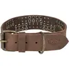 Image de Collier pour chien en cuir rustique avec rivets Trixie Marron S/M 18973