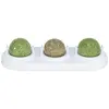 Image de Balle matatabi avec support herbe Trixie (x3) Vert TU 42243