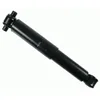Image de Amortisseur SACHS 300 006