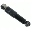 Image de Amortisseur, suspension de cabine SACHS 313 941