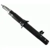 Image de Amortisseur SACHS 314 669