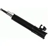 Image de Amortisseur SACHS 317 108