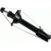 Image de Amortisseur SACHS 317 125 gauche