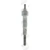 Image de Bougie de préchauffage BORG WARNER (BERU) GV705