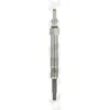 Image de Bougie de préchauffage BORG WARNER (BERU) GN 041