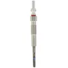 Image de Bougie de préchauffage BORG WARNER (BERU) GE 125