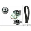 Image de Kit distribution avec pompe à eau INA 530 0258 31
